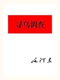 《寻乌调查》