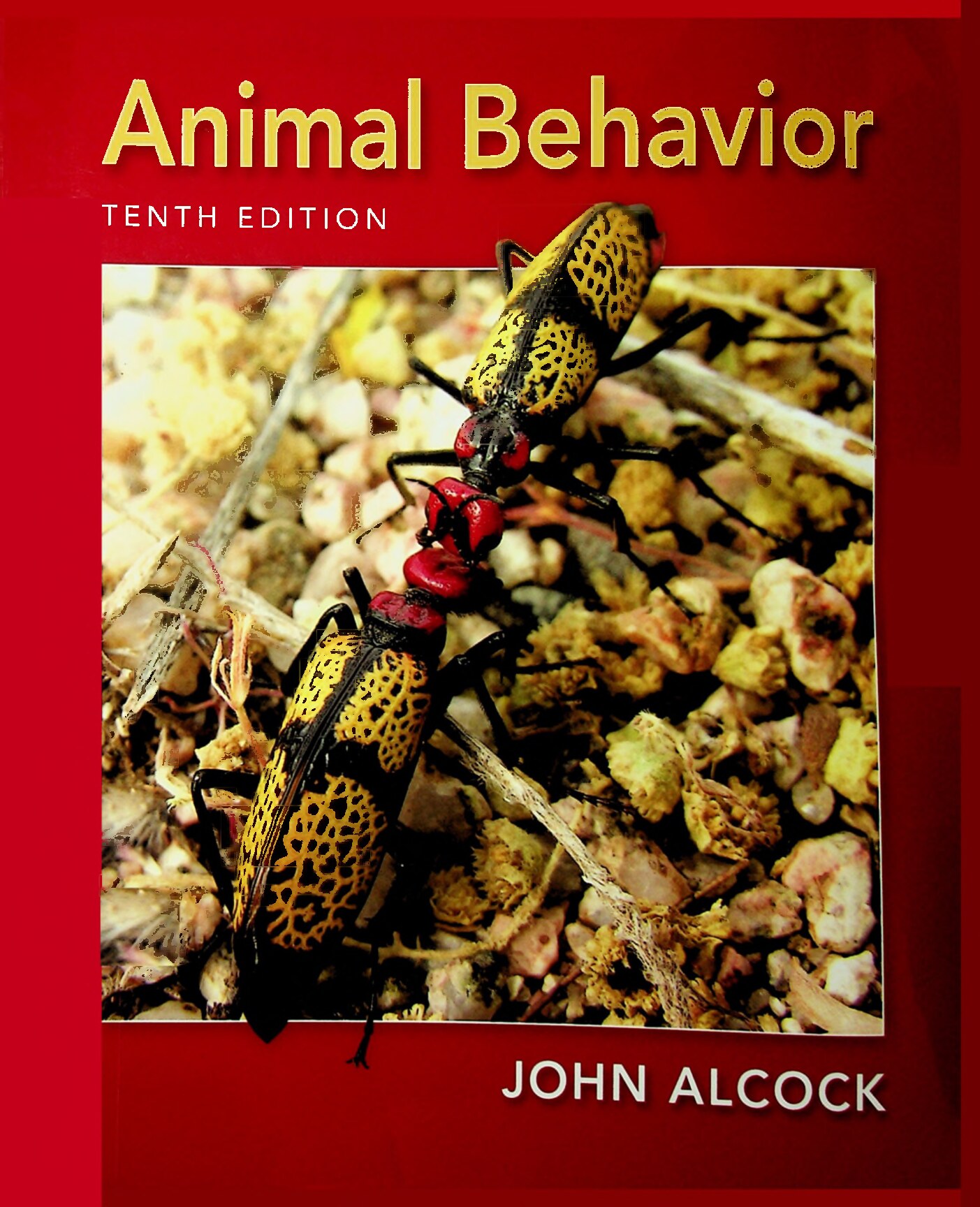 Animal Behavior-10th