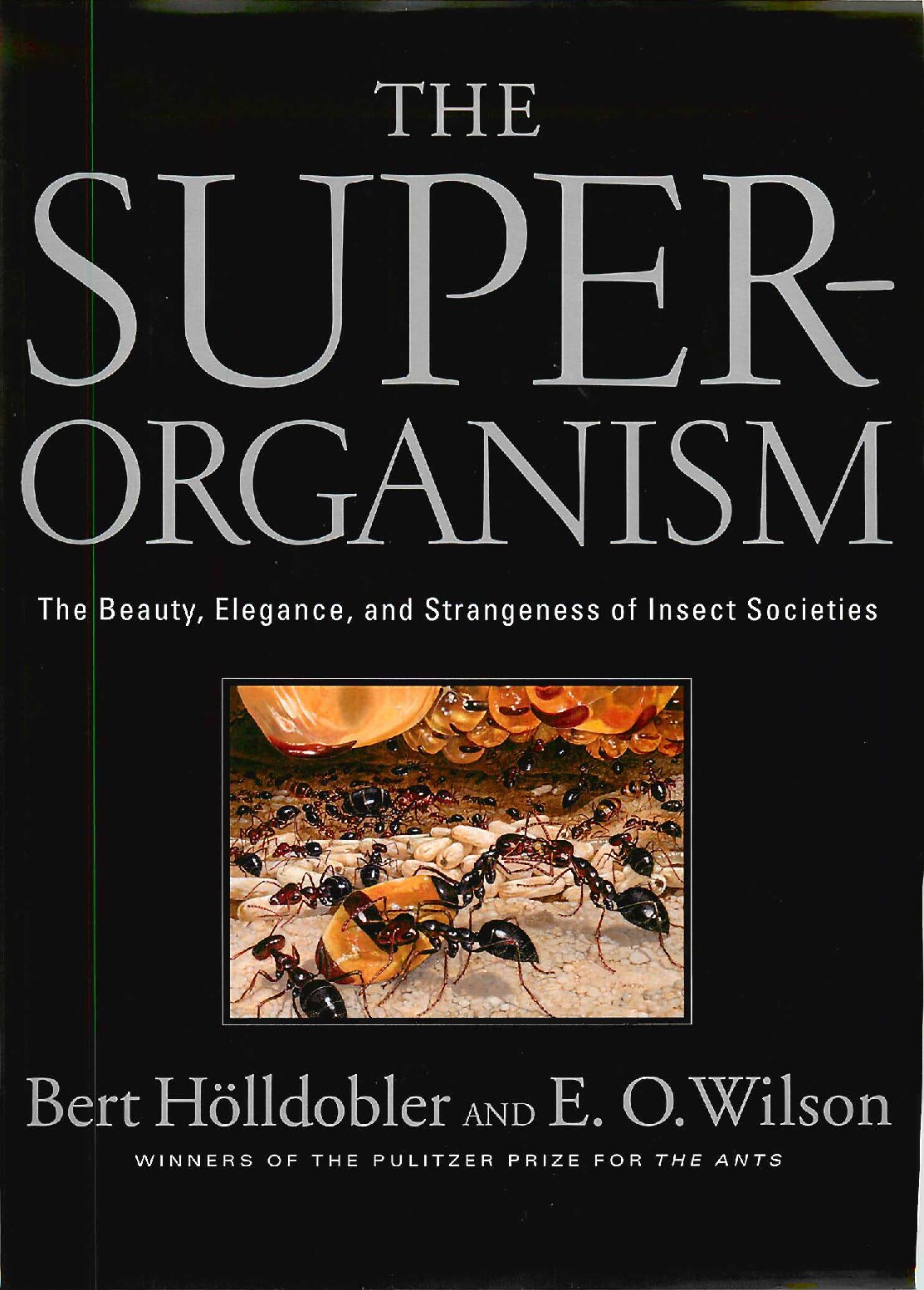 The Superorganism- The Beauty, Elegance, and Strangeness of Insect Societies