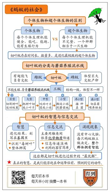 蚂蚁的社会 爱德华·O.威尔逊