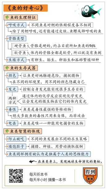 鱼的好奇心 海伦·斯凯尔斯