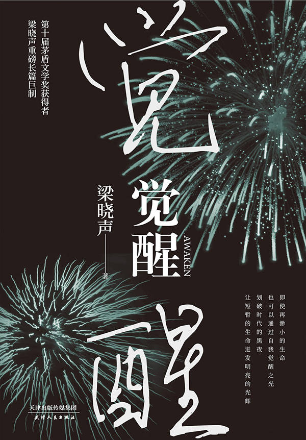 觉醒（2020年精装版）