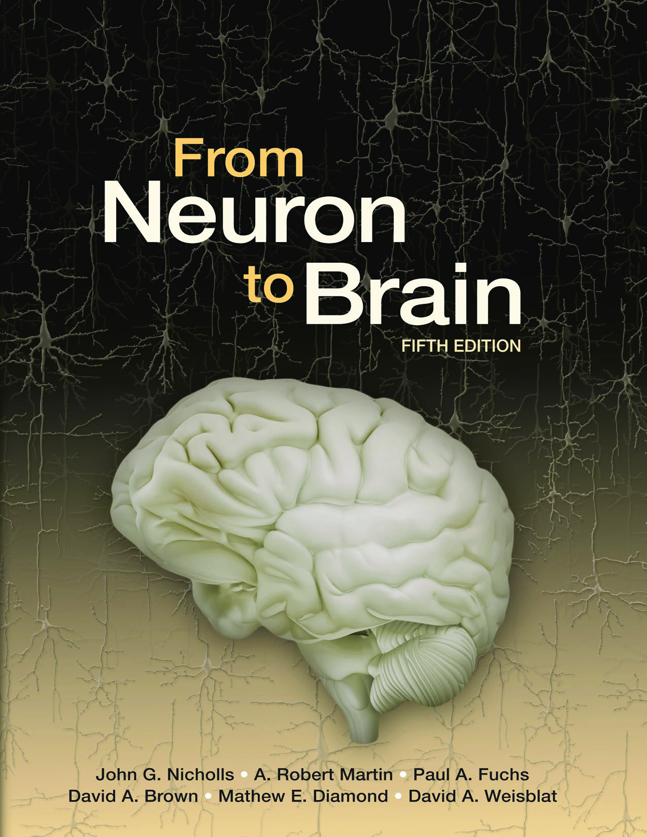 From Neuron to Brain-5th