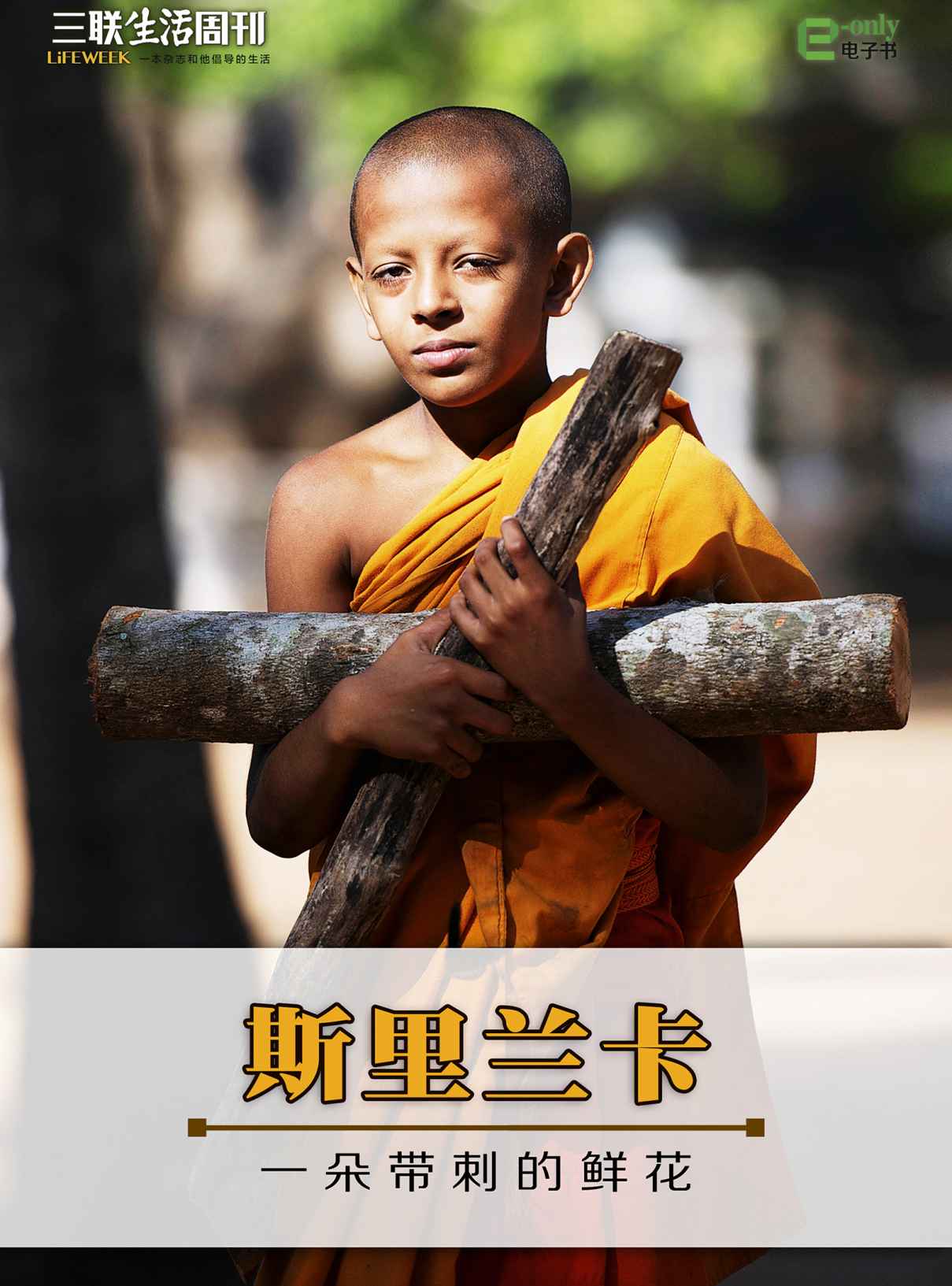 斯里兰卡：一朵带刺的鲜花 (三联生活周刊·玲珑系列)