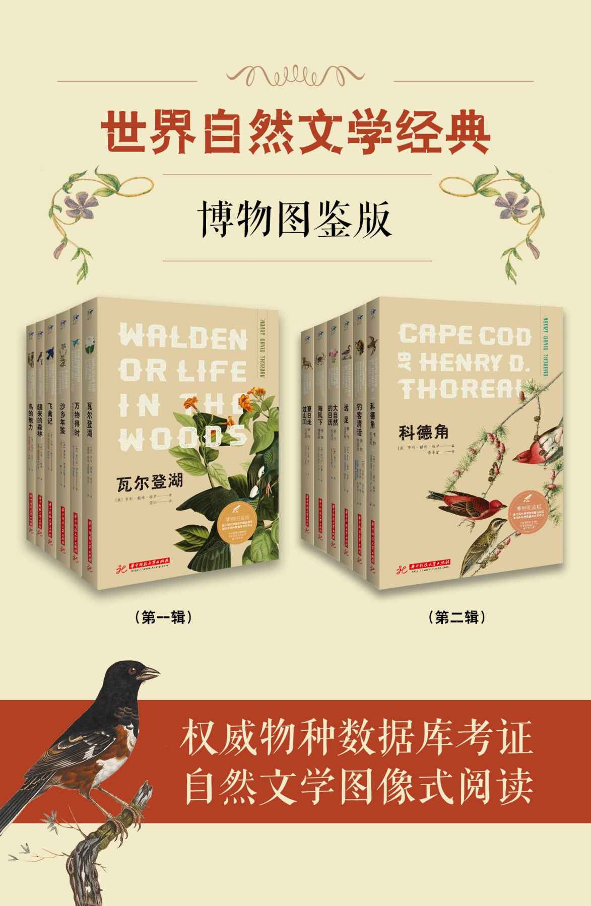 世界自然文学经典：博物图鉴版(共12册）《 瓦尔登湖 : 博物图鉴版  万物得时：写给乡间生灵的自然手记：博物图鉴版  沙乡年鉴 : 博物图鉴版  飞禽记：博物图鉴版  醒来的森林:博物图鉴版  鸟的魅力 : 博物图鉴版  科德角：博物图鉴版  钓客清话：博物图鉴版  远足 : 博物图鉴版  大自然的日历：博物图鉴版  海风下：博物图鉴版  夏日走过山间 : 博物图鉴版》