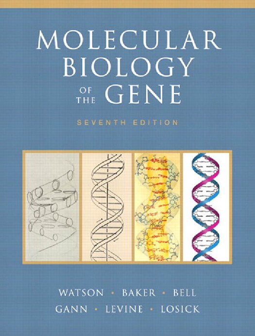 Molecular Biology of the Gene-7th