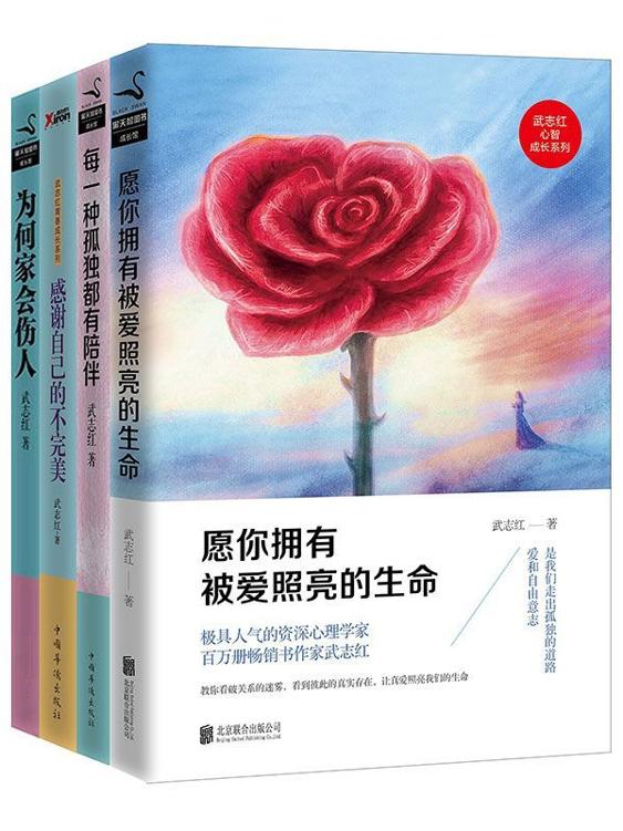 武志红经典作品合集：为何家会伤人、感谢自己的不完美、每一种孤独都有陪伴、愿你拥有被爱照亮的生命(套装共4册） (黑天鹅图书成长馆)