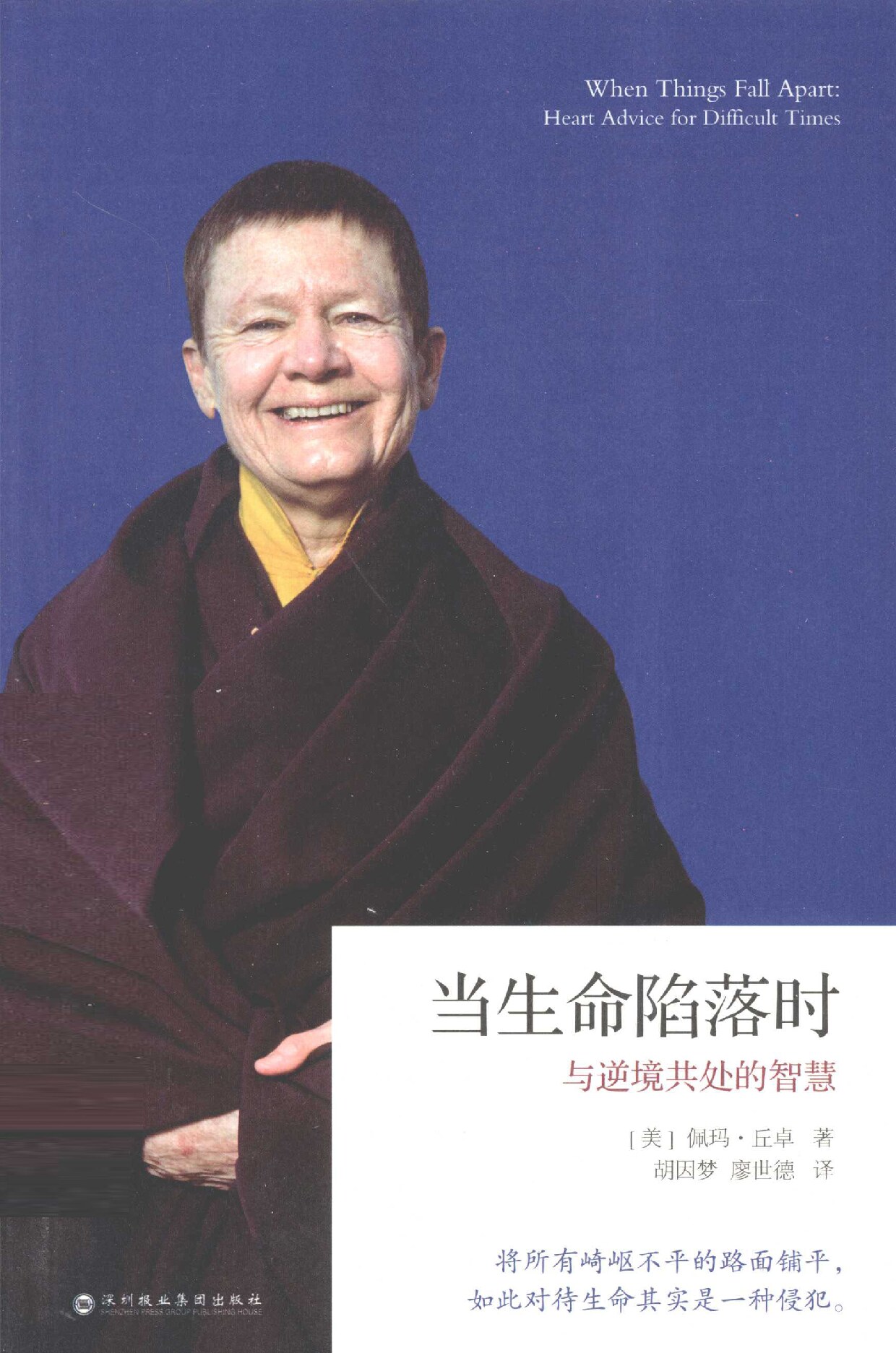 当生命陷落时 与逆境共处的智慧
