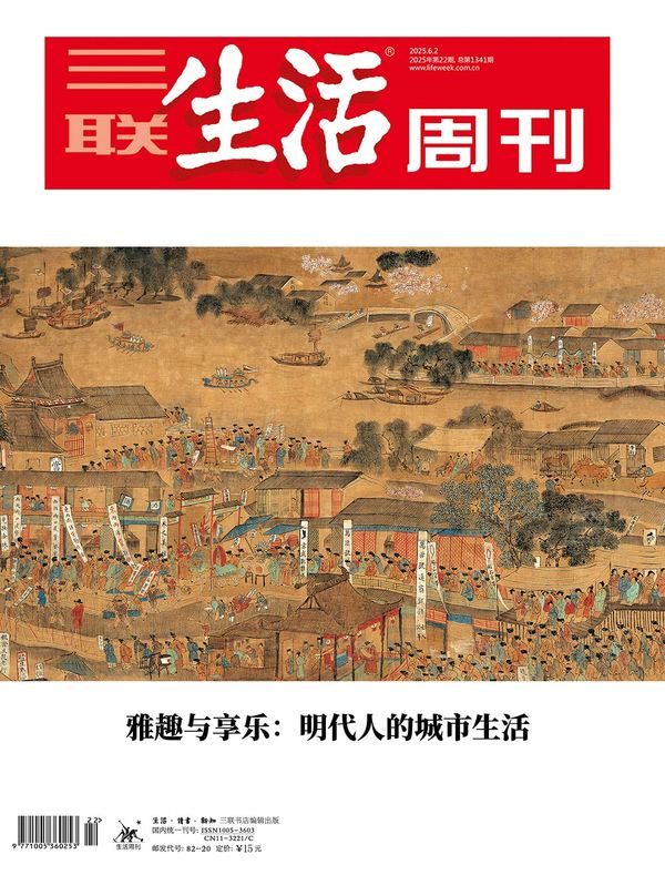 三联生活周刊（2025年第22期）