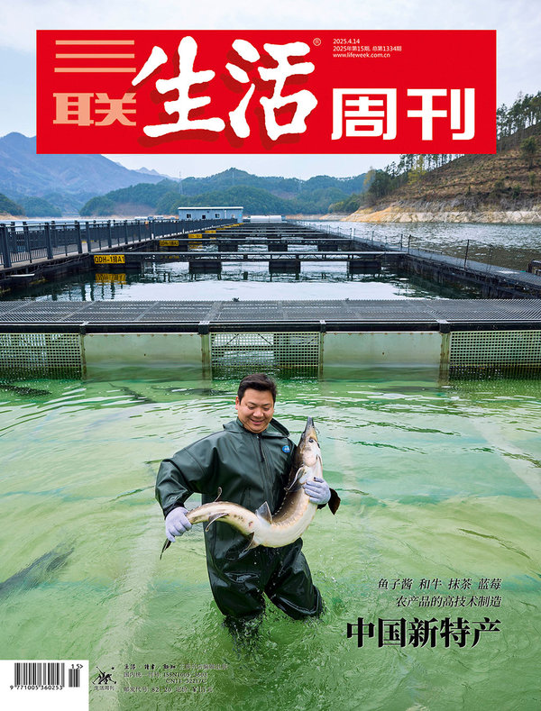 三联生活周刊（2025年第15期）