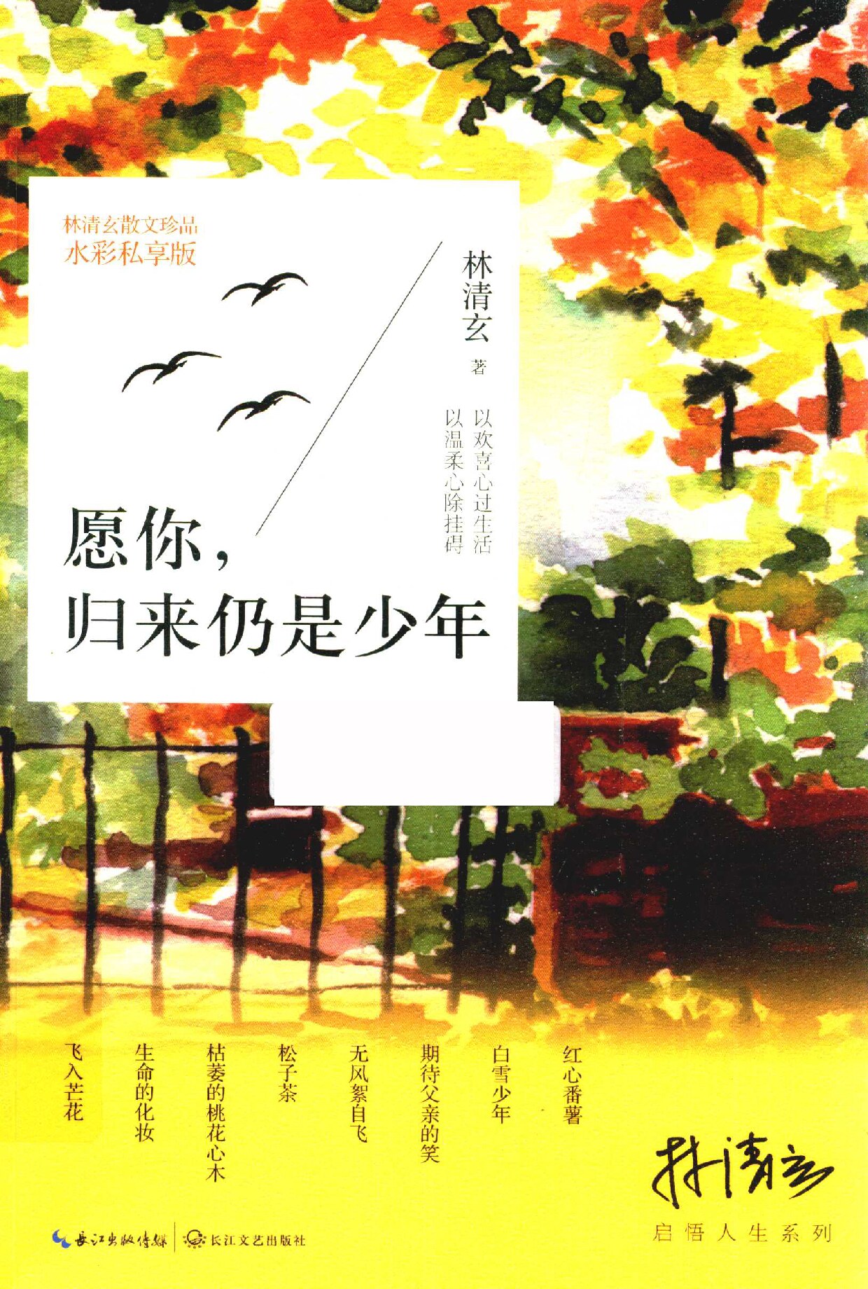 愿你，归来仍是少年 林清玄启悟人生系列