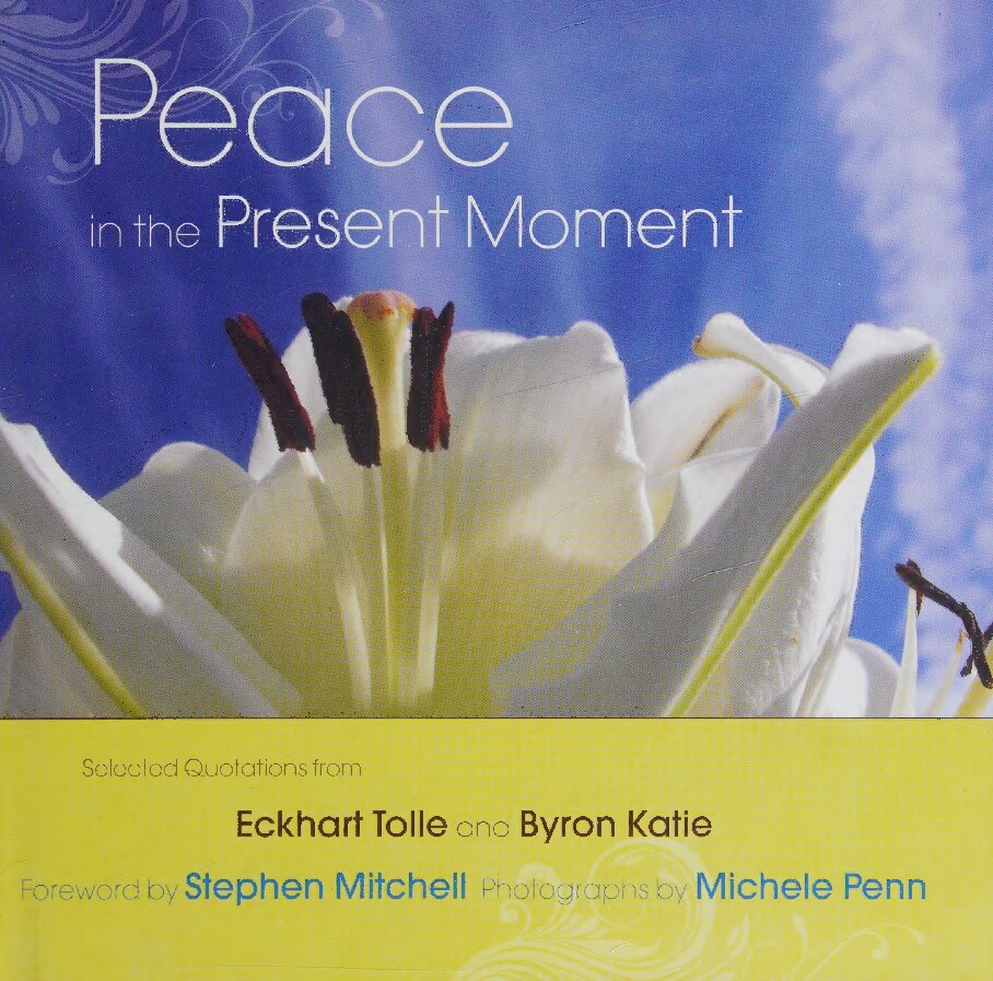 Peace in the present moment